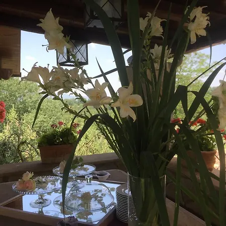 Relais Gli Ulivi Country house