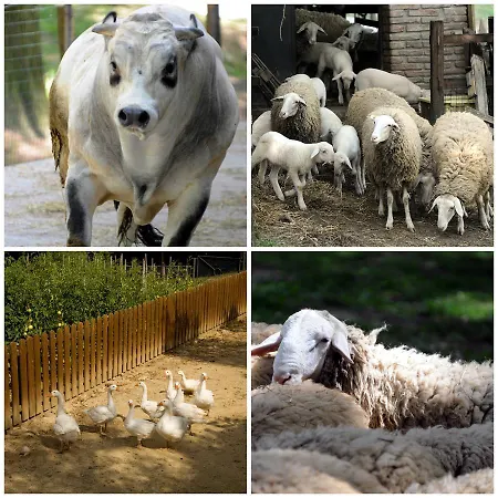 Relais Gli Ulivi Country house *