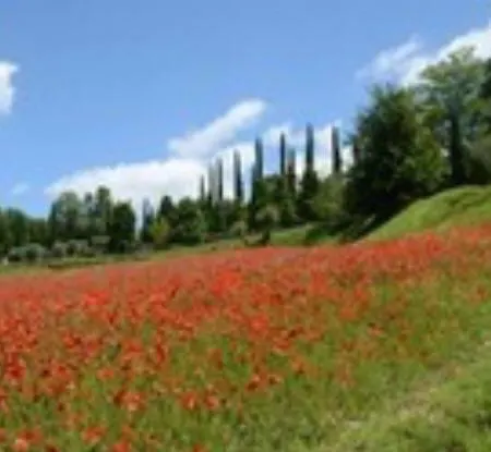 Relais Gli Ulivi *